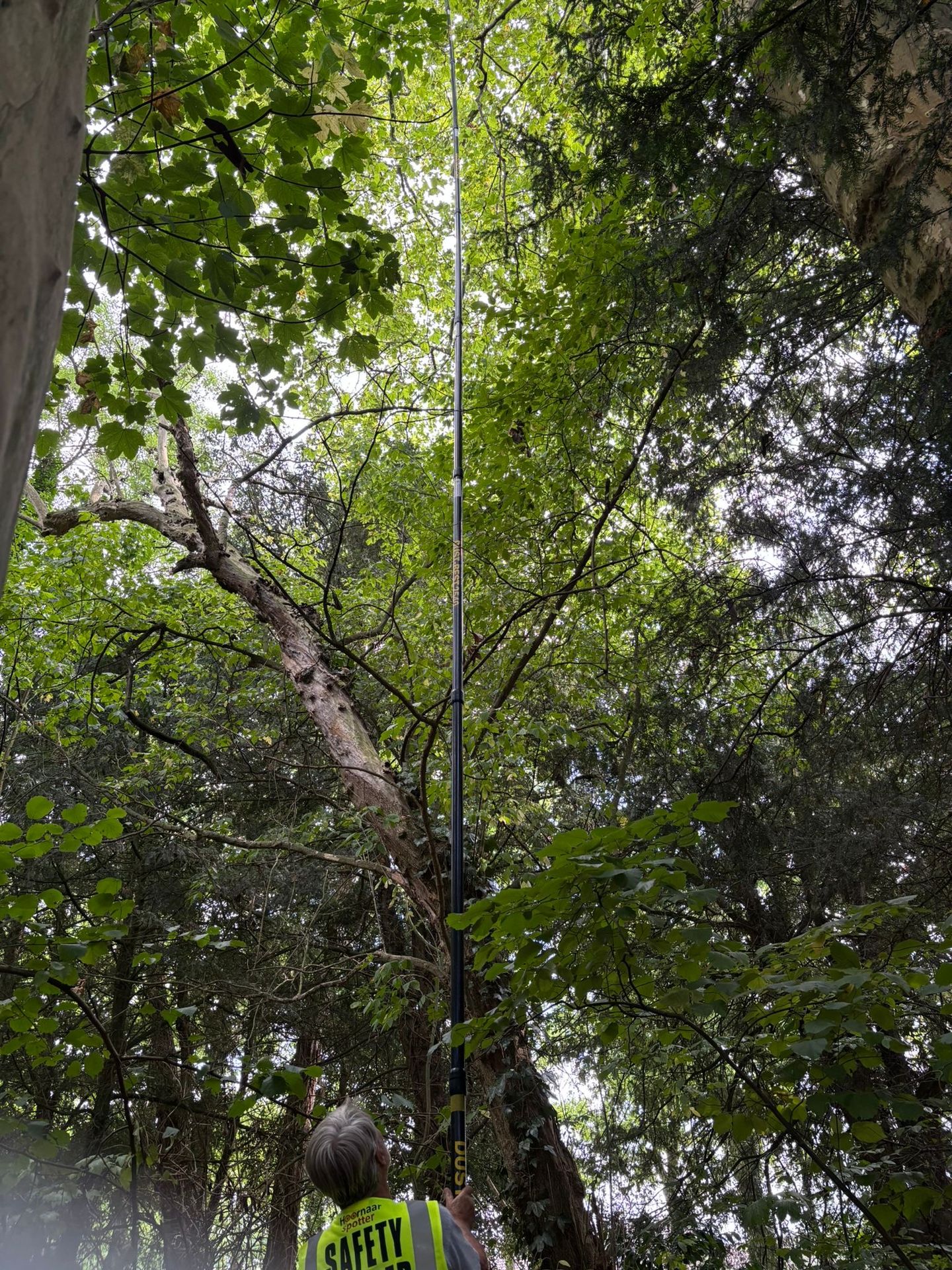 Operator verwijdert een nest van de Aziatische hoornaar vanaf de grond met de VespaVac set van 2Best
