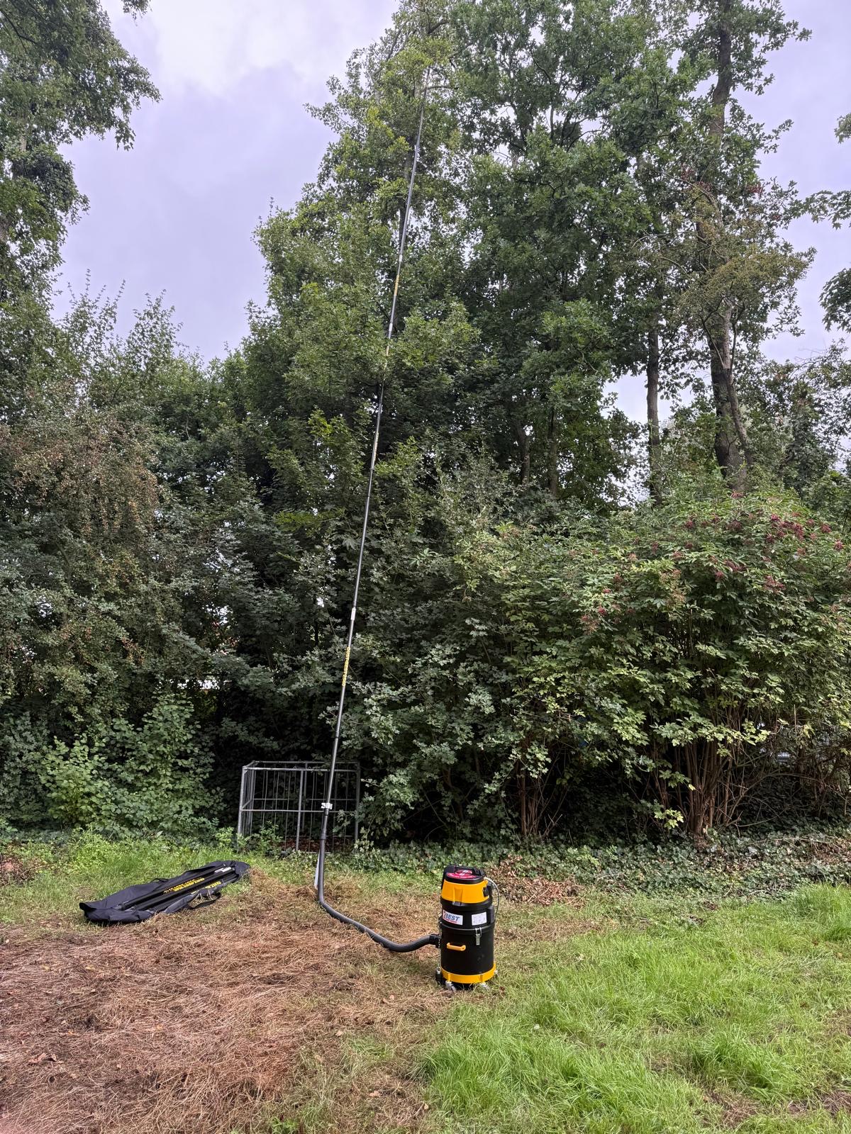 Aziatische Hoornaar wegzuigen