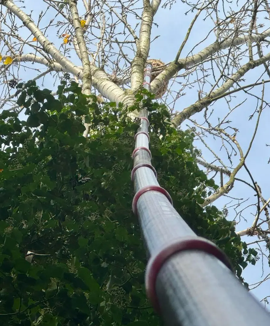 Hoornaar wegzuigen tot 35 meter.